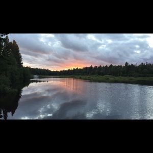 Meet your Posher, Eliina